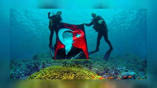 Kızıldeniz'in su altı zenginliği görenleri mest etti 