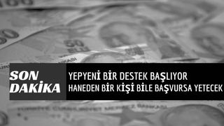 Haneden biri başvursun yeter! TCKN 0,2,4,6,8 olanlara ödemeler başlıyor