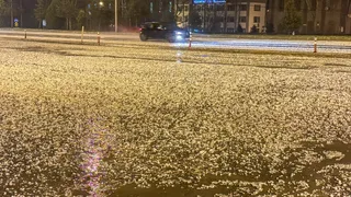 Uşak'ta Dolu Yağışı Hayatı Olumsuz Etkiledi