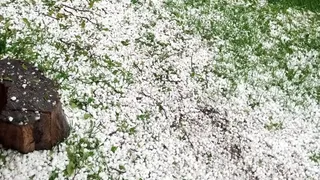 Ardahan'da Posof İlçesinde Dolu ve Sağanak Yağışlar Etkili Oldu