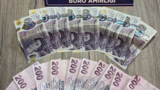 Bingöl'de Hırsızlık Zanlısı Tutuklandı