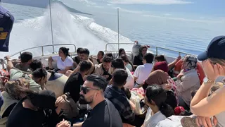 Bodrum Açıklarında 95 Düzensiz Göçmen ve 2 Şüpheli Gözaltına Alındı