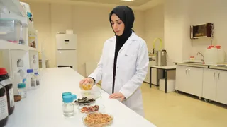 BTÜ'de Çevre Dostu Ambalaj Filmleri Geliştiriliyor