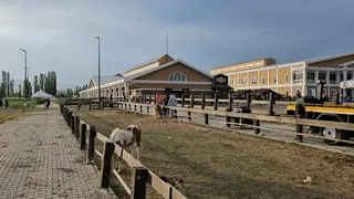 Çorum'da Uluslararası Atlı Dayanıklılık Yarışması Gerçekleştirildi
