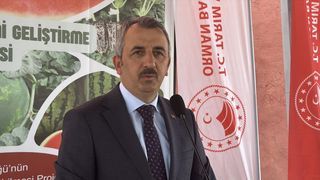 Edirne'de Çiftçilere 66 Bin 640 Karpuz Fidesi Dağıtıldı