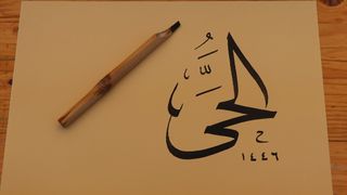 Goussainville'de 9. Geleneksel Türk Festivali Başladı
