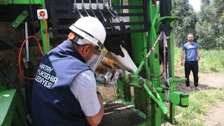 Hatay Büyükşehir Belediyesi'nden Besicilere Ücretsiz Hayvan Bakım Desteği
