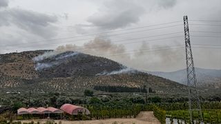 İzmir'in Bayındır İlçesinde Zeytinlik Alanda Yangın Kontrol Altına Alındı