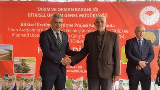 Kastamonu'da Sorgum Sudan Otu Melezi Uygulamasıyla Yem Maliyetleri Düşürülecek