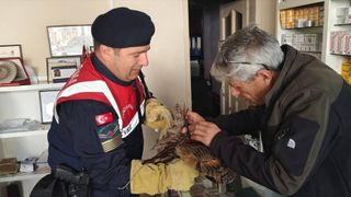 Yozgat'ta Dikenli Tellere Takılan Puhu Kurtarıldı
