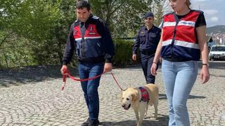 Yozgat'ta Jandarmanın İz Takip Köpeği 'Dost' Emekli Oldu