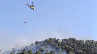 Aydın Koçarlı'da Zeytinlik Alanda Yangın Kontrol Altına Alındı