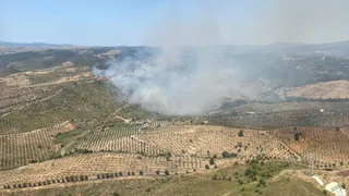 İzmir Seferihisar'da Otluk Alanda Yangın Çıktı