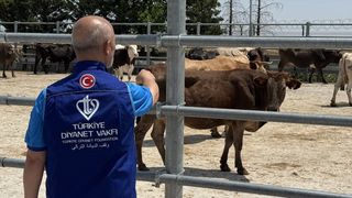 Türkiye Diyanet Vakfı, Konya'da 4 bin 25 Kurban Hissesini İhtiyaç Sahiplerine Ulaştıracak