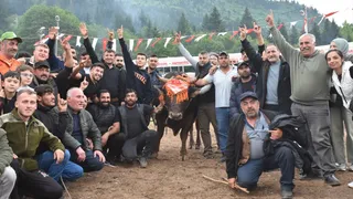 Artvin'de 44. Kafkasör Kültür, Turizm ve Sanat Festivali Boğa Güreşleriyle Sona Erdi