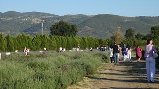 Balıkesir'de 6. Uluslararası Aroma Terapi Festivali Başladı