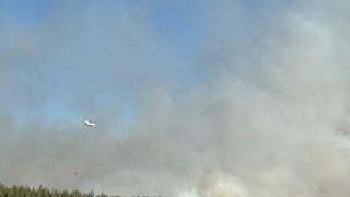 İzmir'in Buca İlçesinde Orman Yangınına Müdahale Devam Ediyor