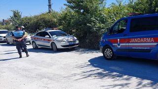 Manavgat'ta Hayvan Parkından Kaçan Aslan Bir Kişiyi Yaraladı