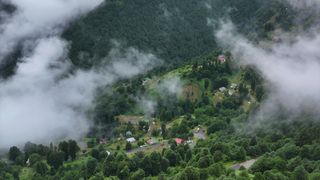 Trabzon'un Hıdırnebi Yaylası, Sisle Kaplı Doğasıyla Büyülüyor