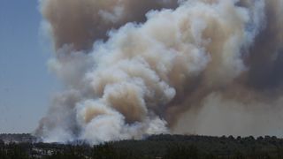 Çanakkale'de Orman Yangınına Havadan ve Karadan Müdahale Ediliyor