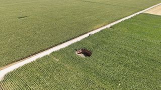 Karaman Sudurağı'nda mısır tarlasında 15 metre çapında obruk oluştu