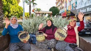 Manavgat’ta İkinci Zeytin ve Zeytinyağı Festivali 8-9 Kasım 2025'te Başlıyor