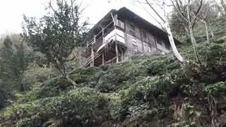 Trabzon Of'ta balkona tırmanan ayı arı kovanlarındaki balı kamerada görüntülendi