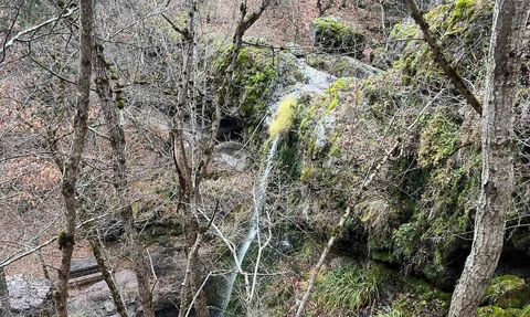 Beşikderesi Şelalesi'nde kış manzarası: Azalan debi ziyaretçileri tedirgin ediyor