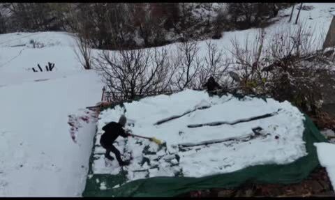 Hakkari Aktütün'ün Kışlık Üzümü: Kar Altında Toplanıp Kış Boyu Saklanan Geleneksel Lezzet