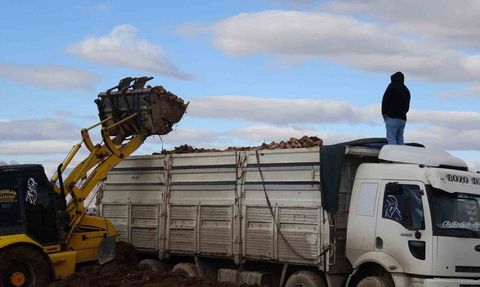 Malatya'da şeker pancarında yüksek verim: Rekolte beklentiyi aştı
