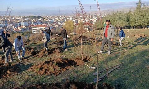 Sandıklı'da SANDER, Tepe Kent 'Bademlik' Alanına Yaklaşık 100 Badem Fidanı Dikti