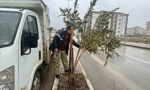 Adıyaman'da mevsimlik bakım ve güçlendirme seferberliği