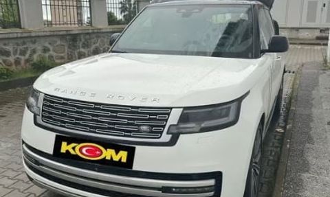 Artvin merkezli operasyonda yabancı plakalı 11 lüks aracın usulsüz girişine 11 tutuklama