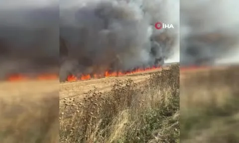 Çorlu'da Sarılar Mahallesi'nde buğday tarlasında yangın