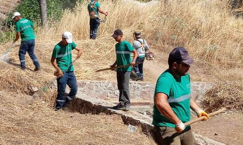Ayvalık’ta kuru ot temizliğiyle yaz dönemi yangın riskine karşı önlem