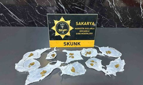 Serdivan'da uyuşturucu operasyonunda 1 kişi tutuklandı