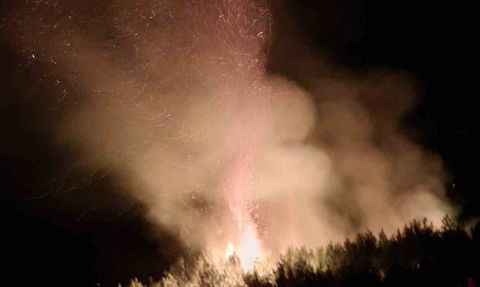 Alanya'da gece alevlerine karşı seferberlik: orman yangını sabaha doğru kontrol altına alındı