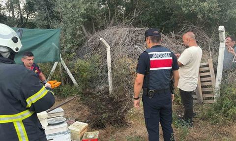 Bahçe sahibinin müdahalesi Pelitözü'ndeki yangını büyümeden durdurdu