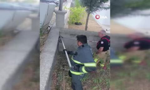 Bahçeye giren 1,5 metrelik yılan mahalleyi alarma geçirdi