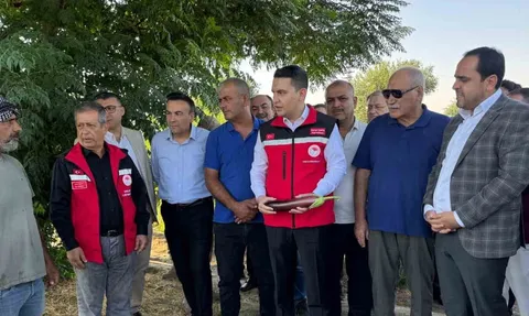 Birecik'te patlıcan yılı: tescilli üründe hasat zamanı