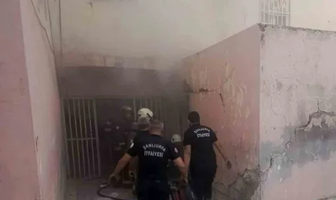 Şanlıurfa'da bodrum yangınında itfaiye alevleri söndürdü, iki yavru kediyi kurtardı