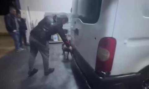Narkotik köpeğinin dikkatiyle: kocaeli otoyolunda 338 bin hap ele geçirildi