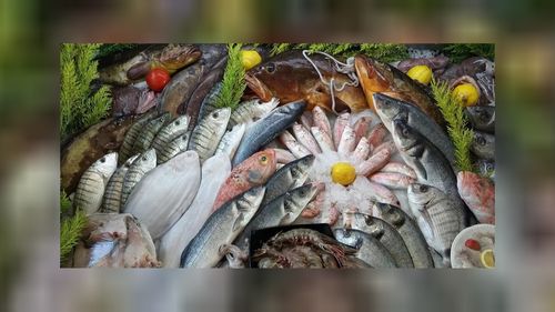 Fırtına balık fiyatlarını katladı! Hamsinin kilosu dudak uçuklattı! 