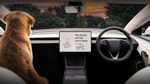 Tesla kritik hata nedeniyle 125 bin aracı geri çağırdı! 