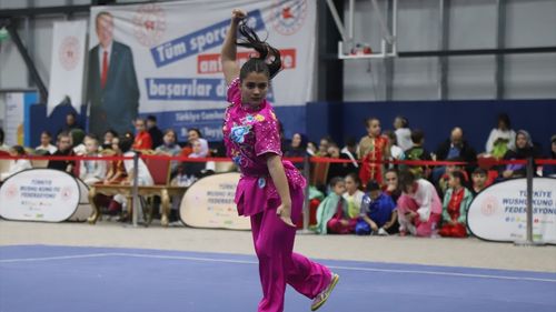2025 Türkiye Wushu Kung Fu Şampiyonası Yalova'da Başladı