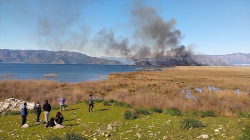 Muğla'nın Köyceğiz Gölü'nde Sazlık Alanında Yangın Çıktı