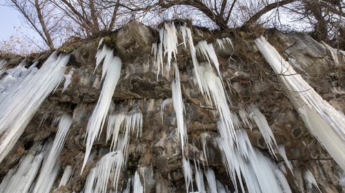 Van'da Koçköprü Kanyonu'nda Buz Sarkıtları Oluştu
