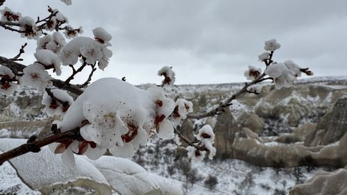 Kapadokya'nın Peribacaları Kar Yağışıyla Beyaza Büründü