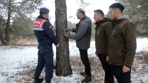 Kars Ormanlarına Yaban Hayvanları İzleme İçin Fotokapanlar Kuruldu