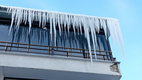 Muş'taki Ailelerden Çocuklarına 'Teslim Olun' Çağrısı